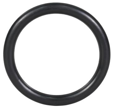 O-Ring 3/4